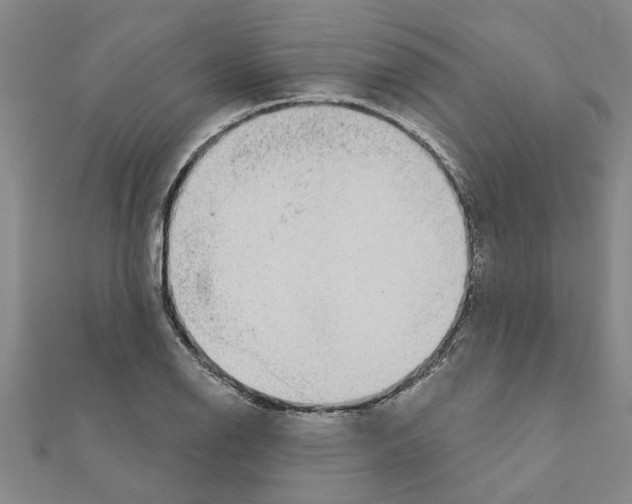 X0000111201126200908121104