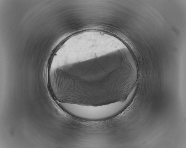 X0000111201127200908121104