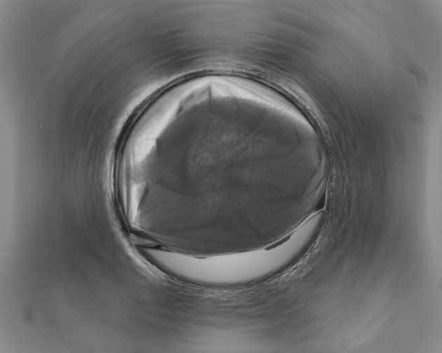 X0000111201128200908121104