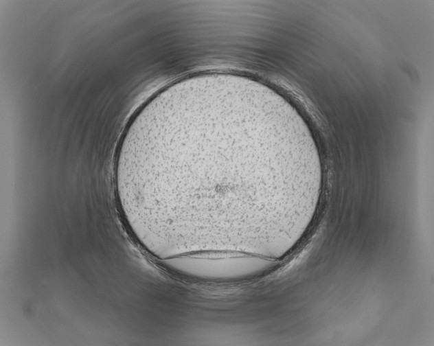 X0000111201129200908121104