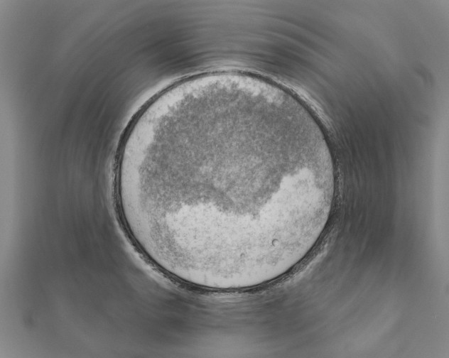 X0000111201134200908121104