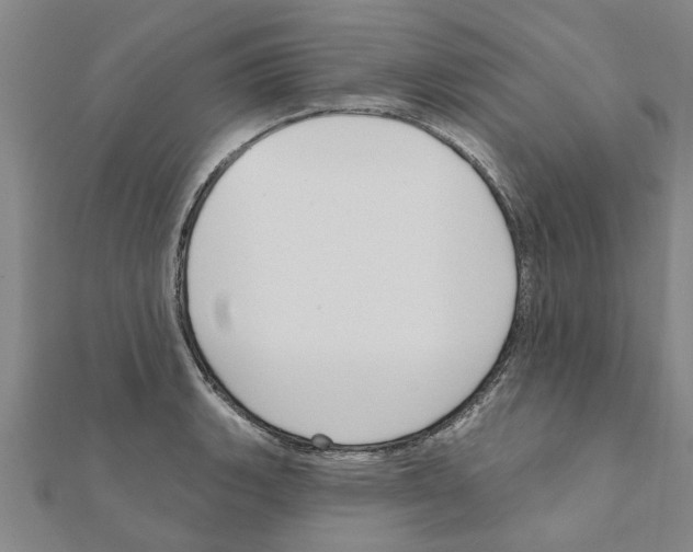 X0000111201135200908121104