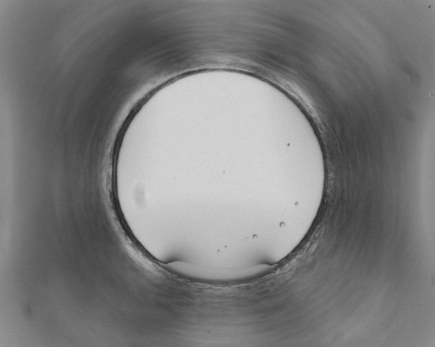 X0000111201136200908121104