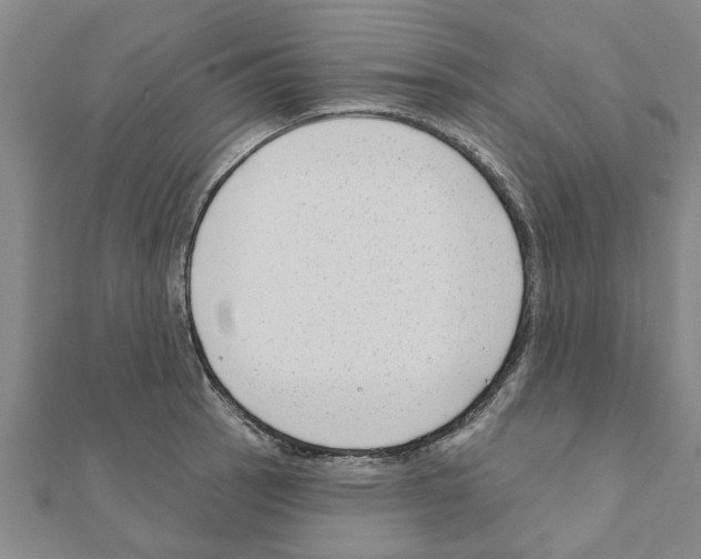 X0000111201137200908121104