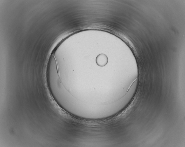 X0000111201138200908121104