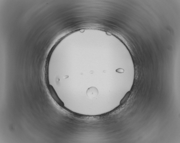 X0000111201139200908121104