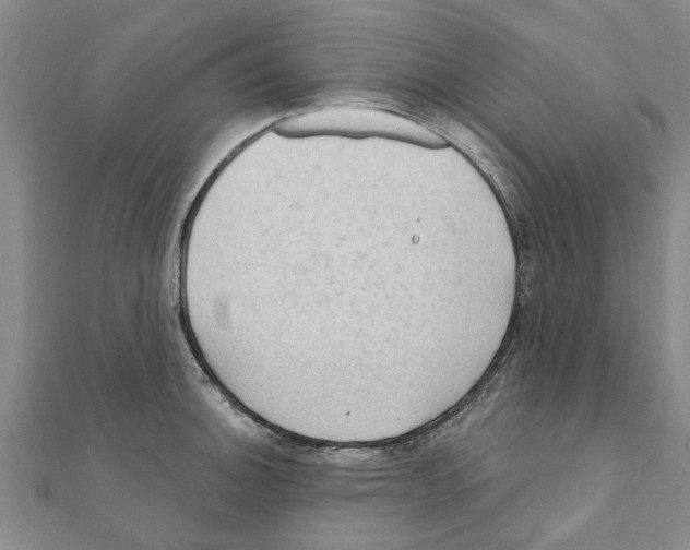 X0000111201140200908121104