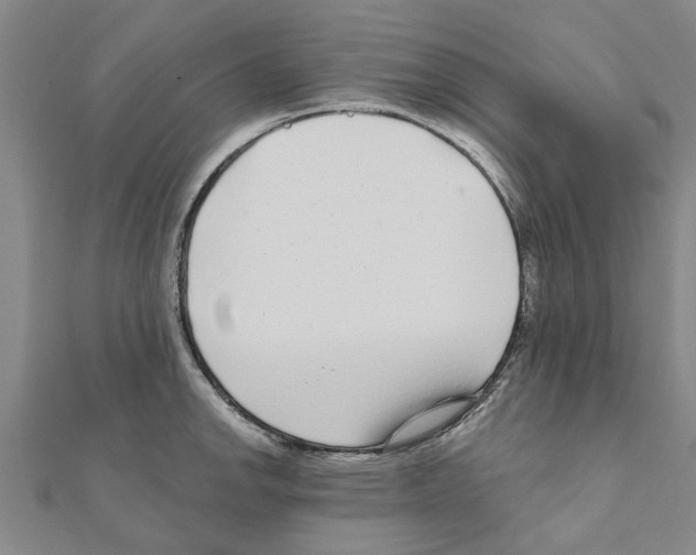 X0000111201142200908121104