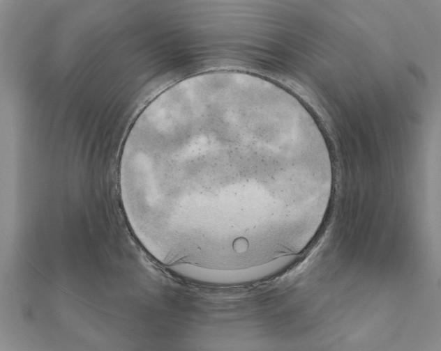 X0000111201145200908121104