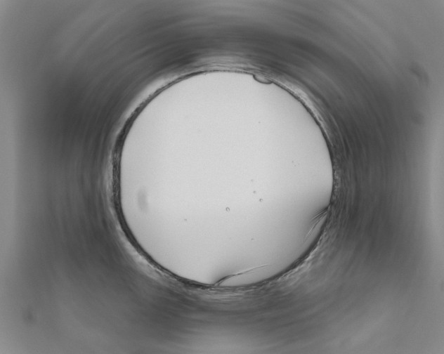 X0000111201147200908121104