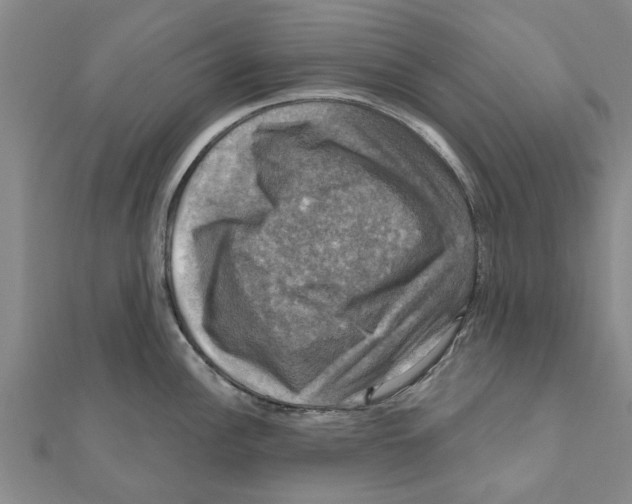 X0000111201148200908121104