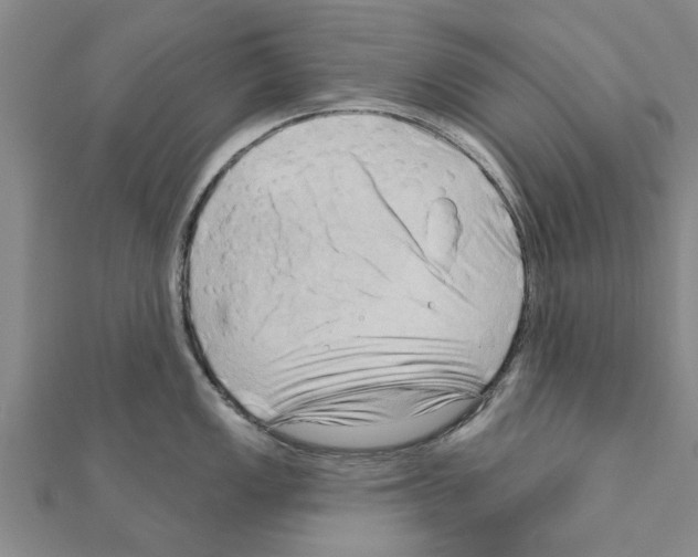 X0000111201149200908121104