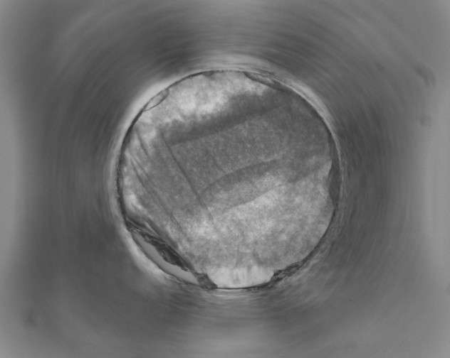 X0000111201152200908121104