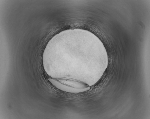 X0000111201153200908121104