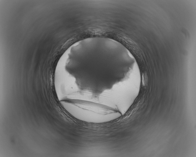 X0000111201155200908121104