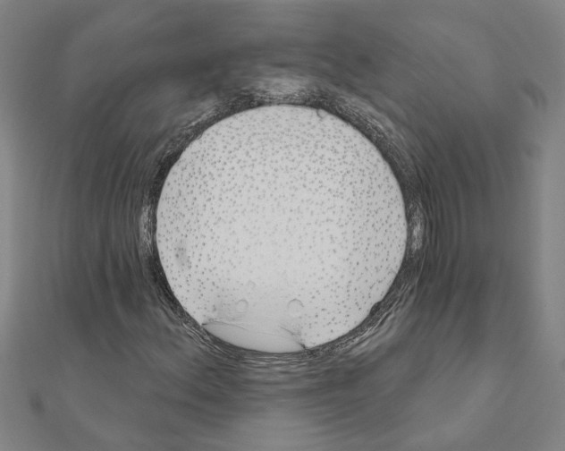 X0000111201156200908121104