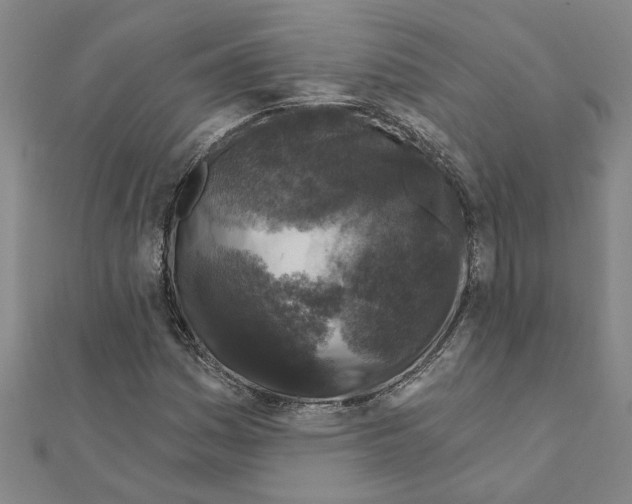 X0000111201161200908121104