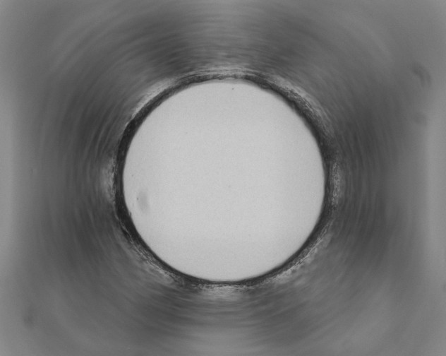 X0000111201162200908121104