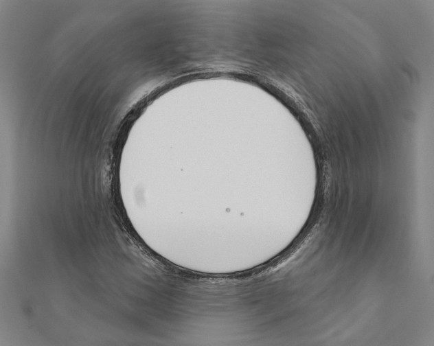 X0000111201163200908121104