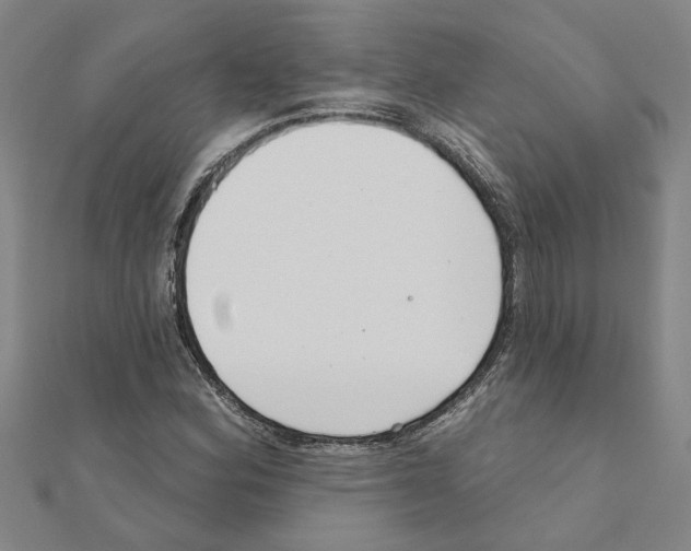 X0000111201164200908121104