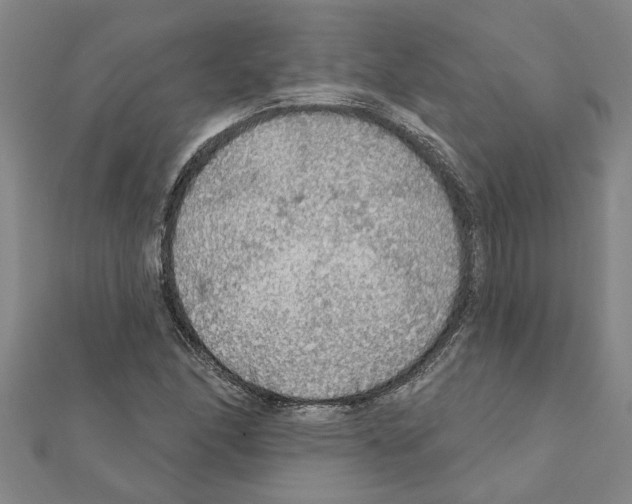 X0000111201166200908121104