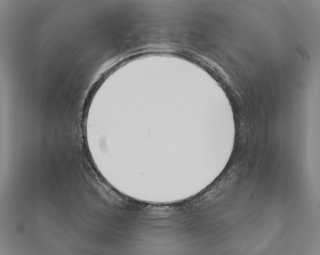 X0000111201168200908121103