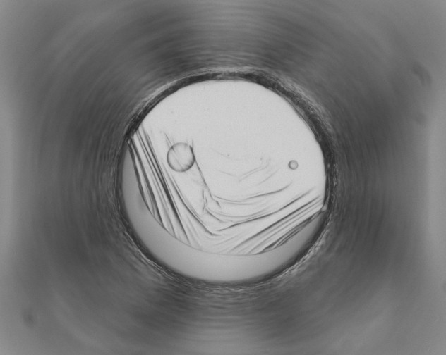 X0000111201169200908121103