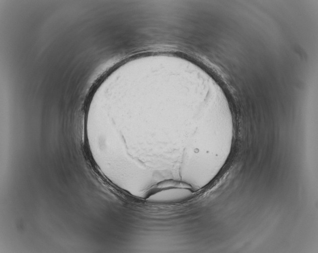 X0000111201171200908121103