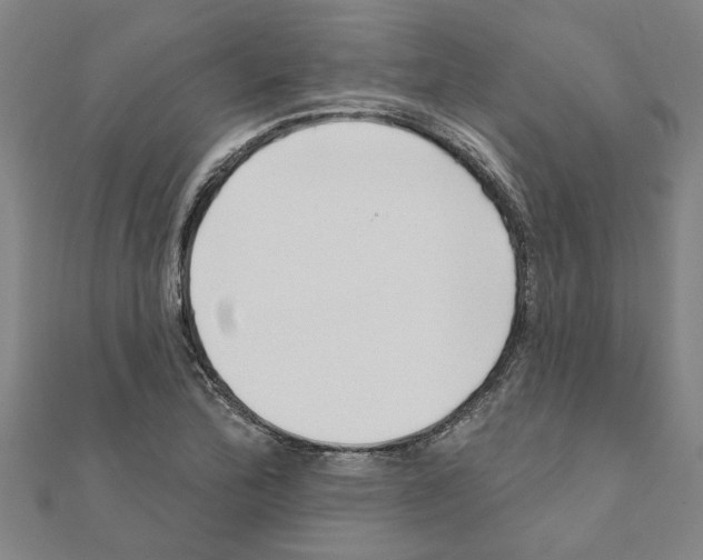 X0000111201172200908121103