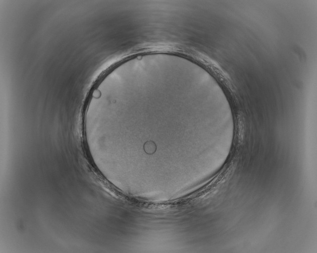 X0000111201174200908121103