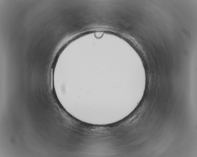 X0000111201175200908121103