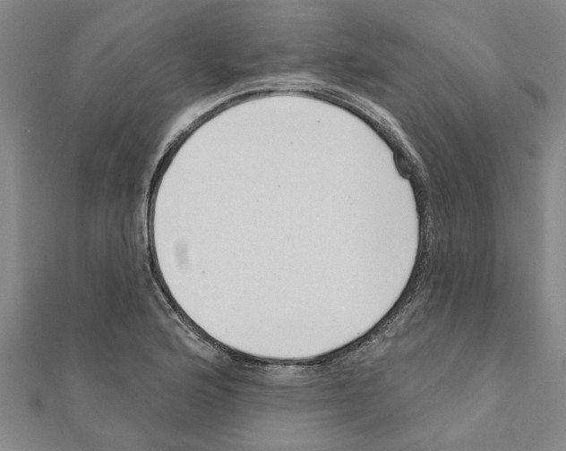 X0000111201176200908121103