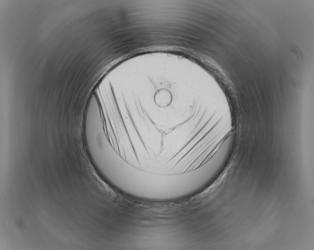 X0000111201177200908121103