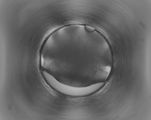 X0000111201179200908121103