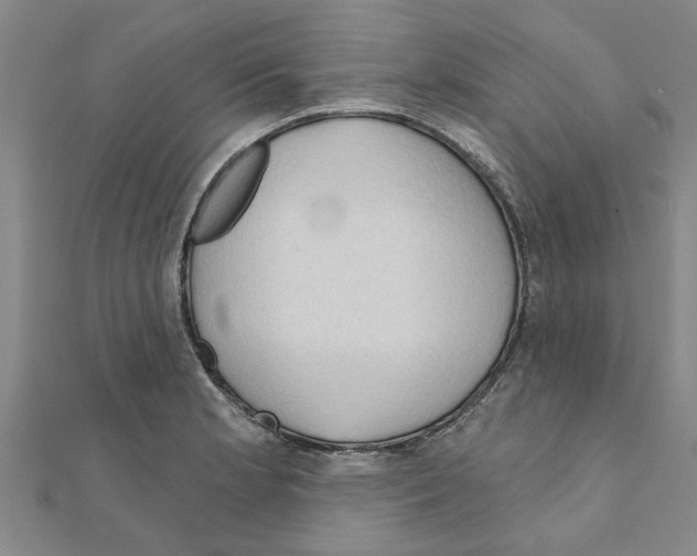 X0000111201181200908121103