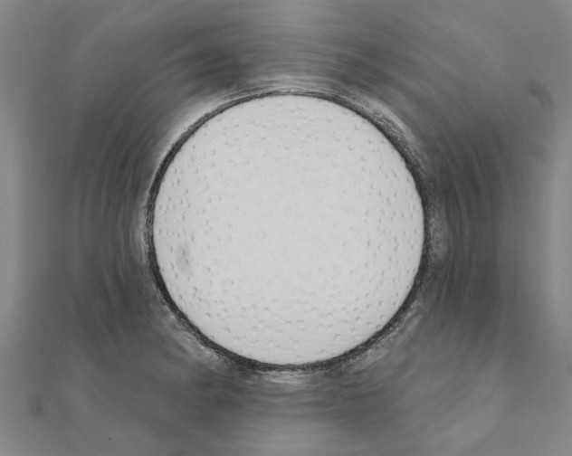 X0000111201182200908121103