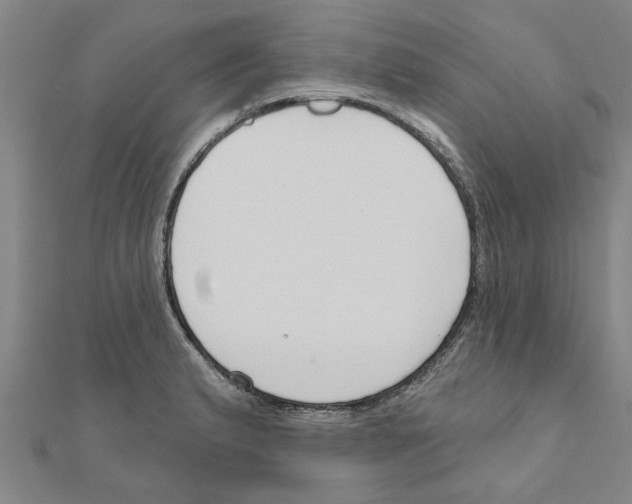 X0000111201183200908121103