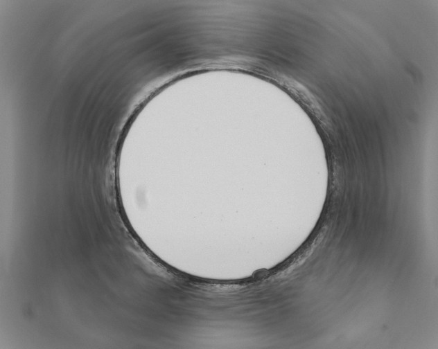 X0000111201184200908121103