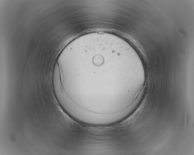 X0000111201185200908121103