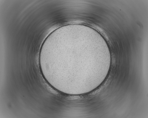 X0000111201186200908121103