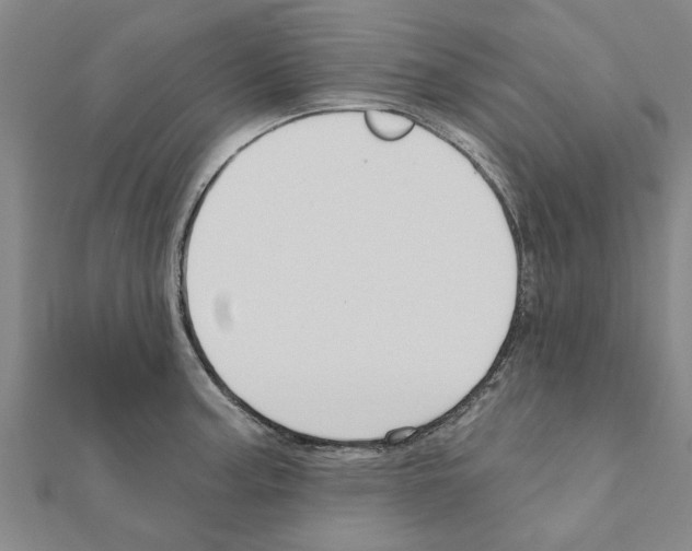 X0000111201187200908121103