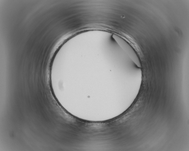 X0000111201188200908121103