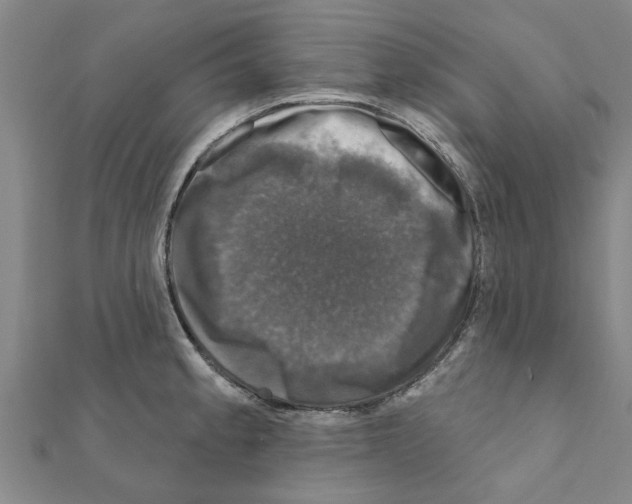 X0000111201189200908121103