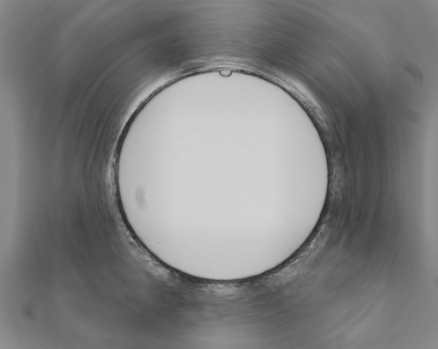 X0000111201190200908121103