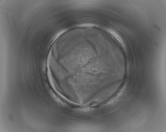 X0000111201193200908121103