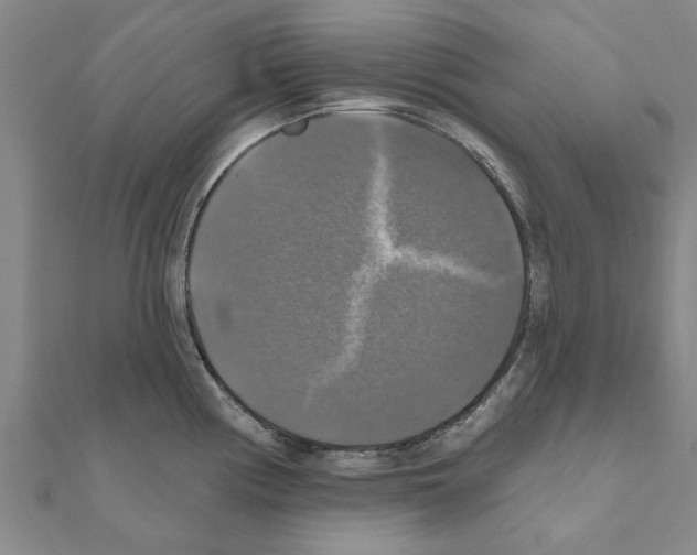 X0000111201194200908121103