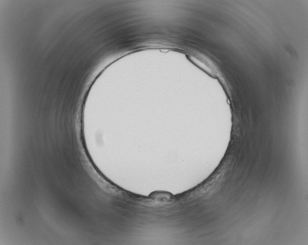 X0000111201195200908121103