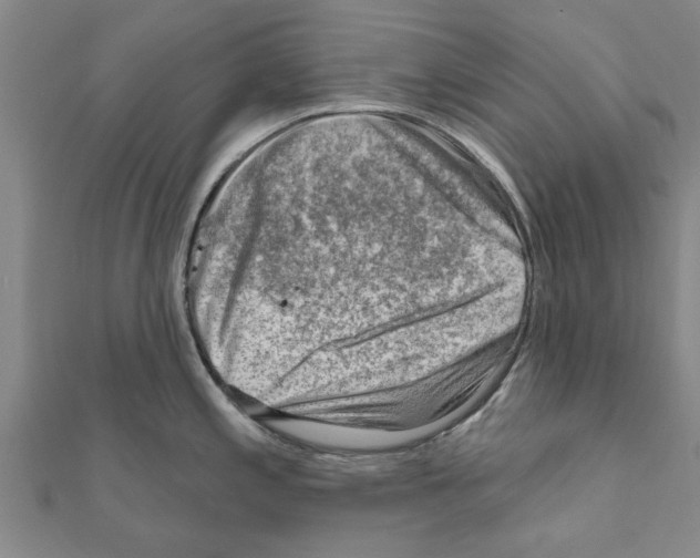 X0000111201197200908121103