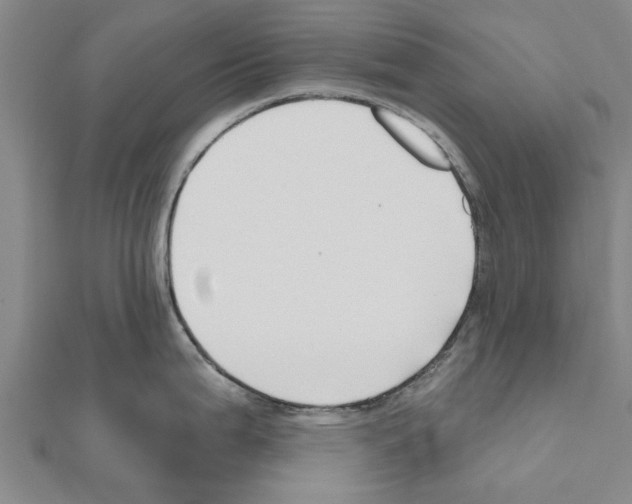 X0000111201199200908121103