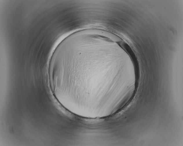 X0000111201200200908121103